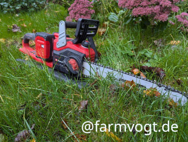 Einhell Kettensäge im Gras