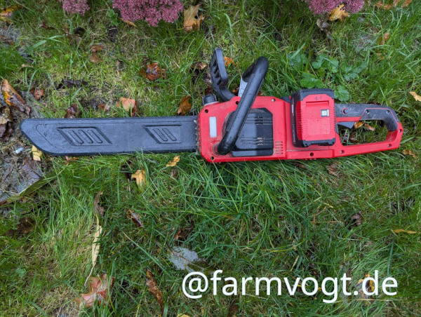 Einhell Kettensäge im Gras